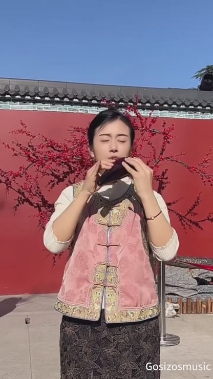 Ocarina 12 Hole Tones Alto C with Gift Wrapping Neck Cord Protective Cover Song Book Music Instrument Gift Idea For Beginner Musician